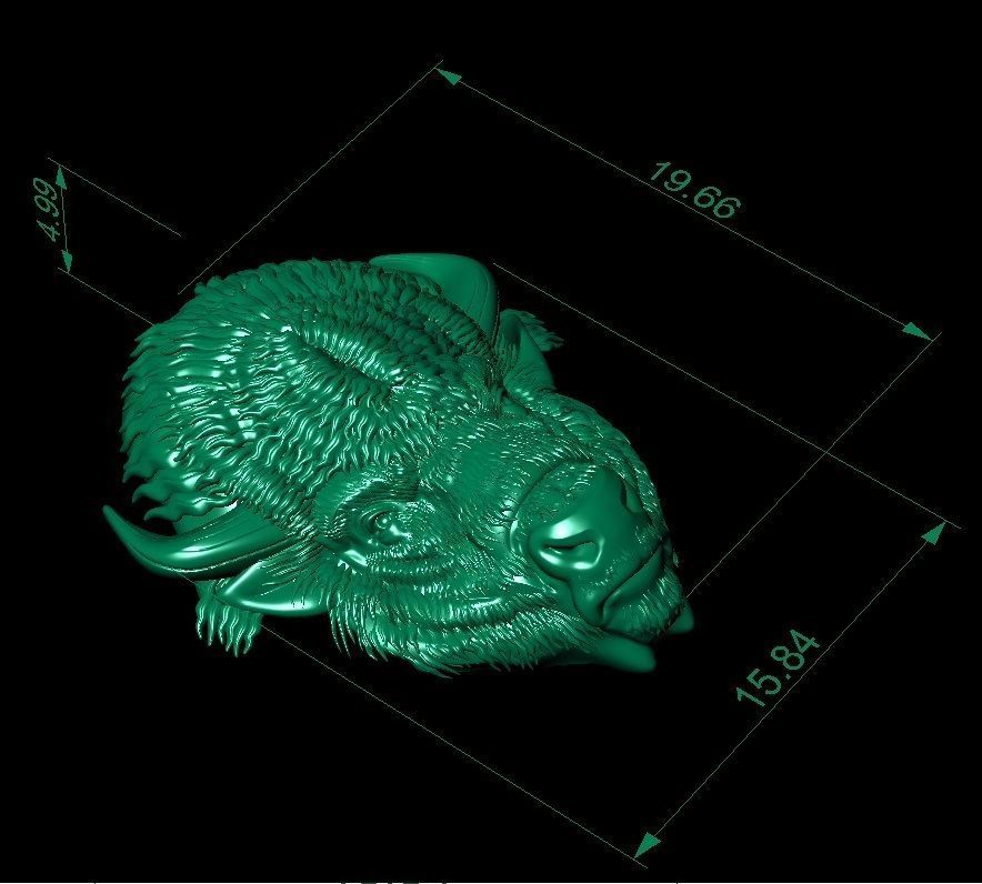 bison head  3D print model_8