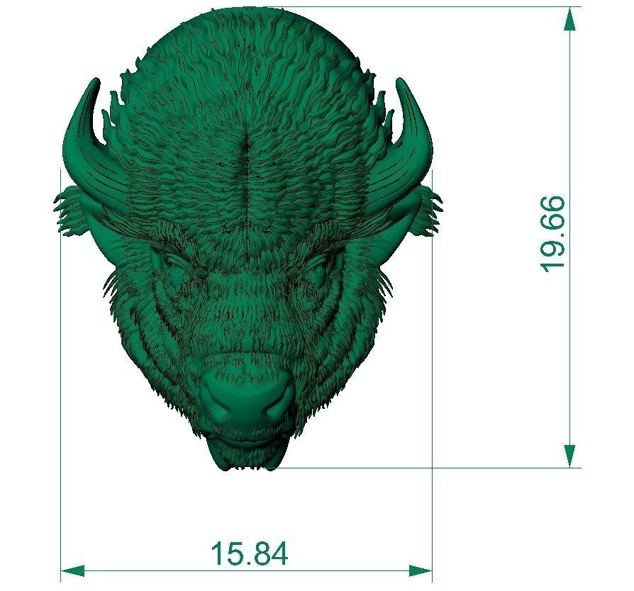 bison head  3D print model_3