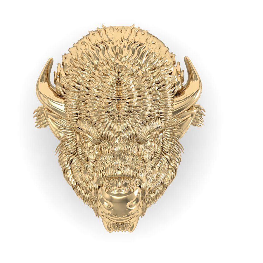 bison head  3D print model_4