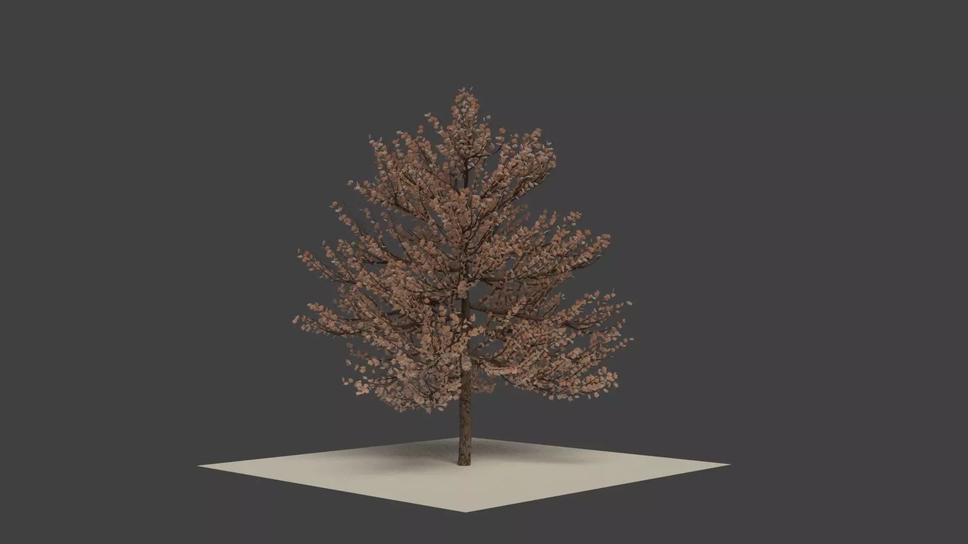 autumn tree  3D model_0