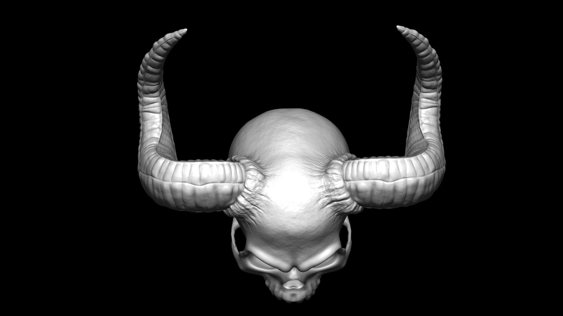 Scull with horns 3D print model_6