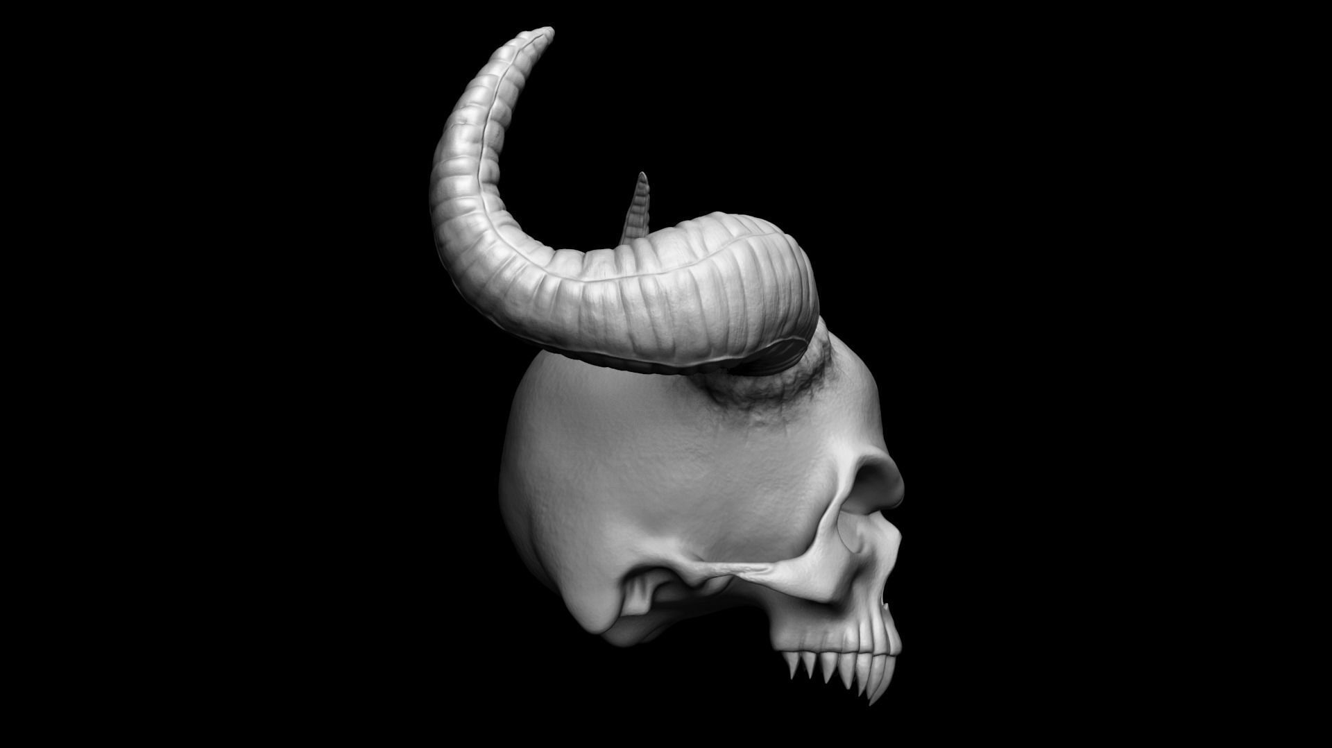 Scull with horns 3D print model_3