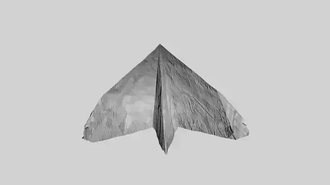 Crumpled Paper Plane