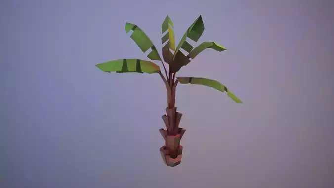 Banana tree