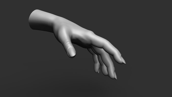 Female hand 3D print model