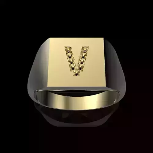 10mm x 10mm Square Signet Prong Setting Dia-V Ring