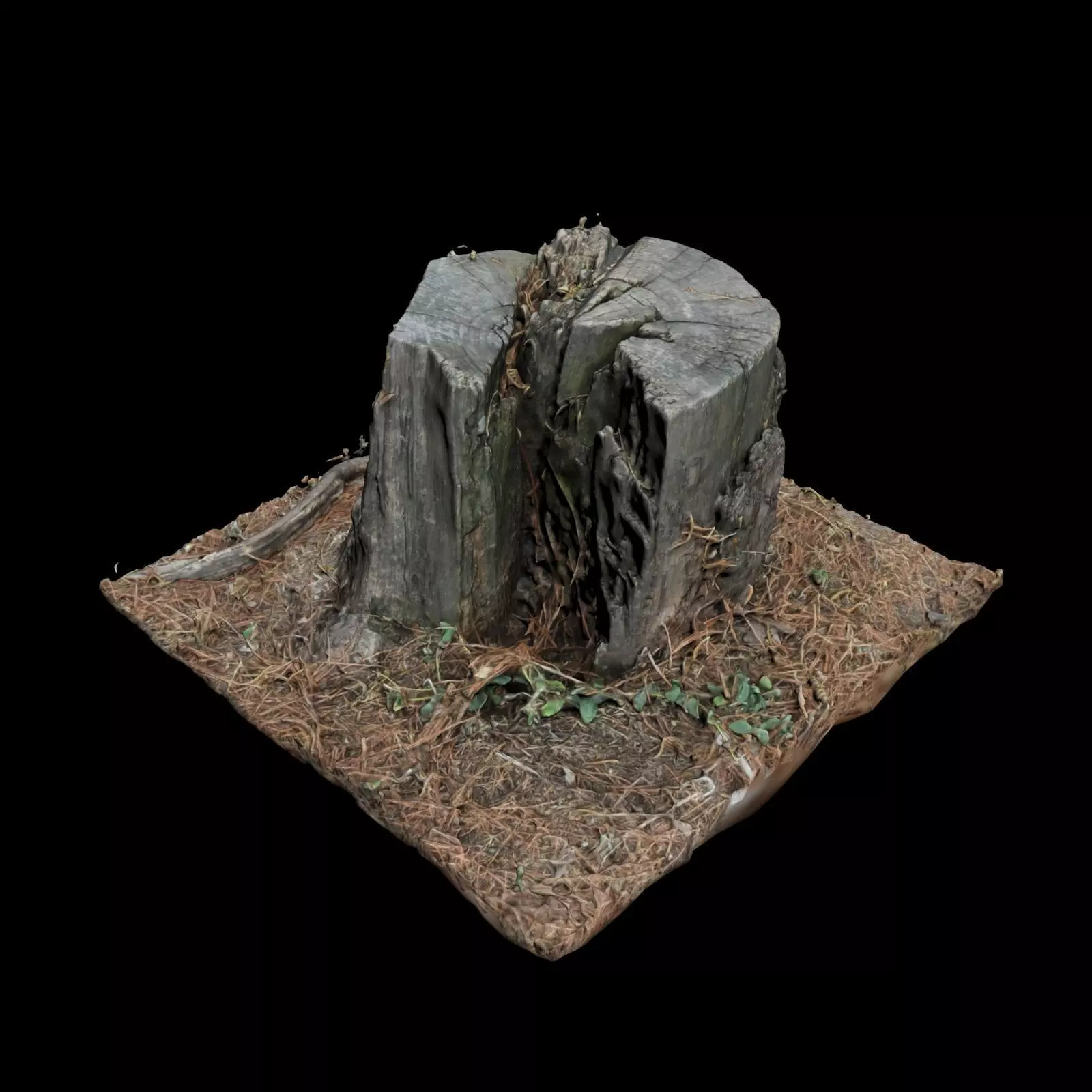 Trunk tree stump 3D model_0