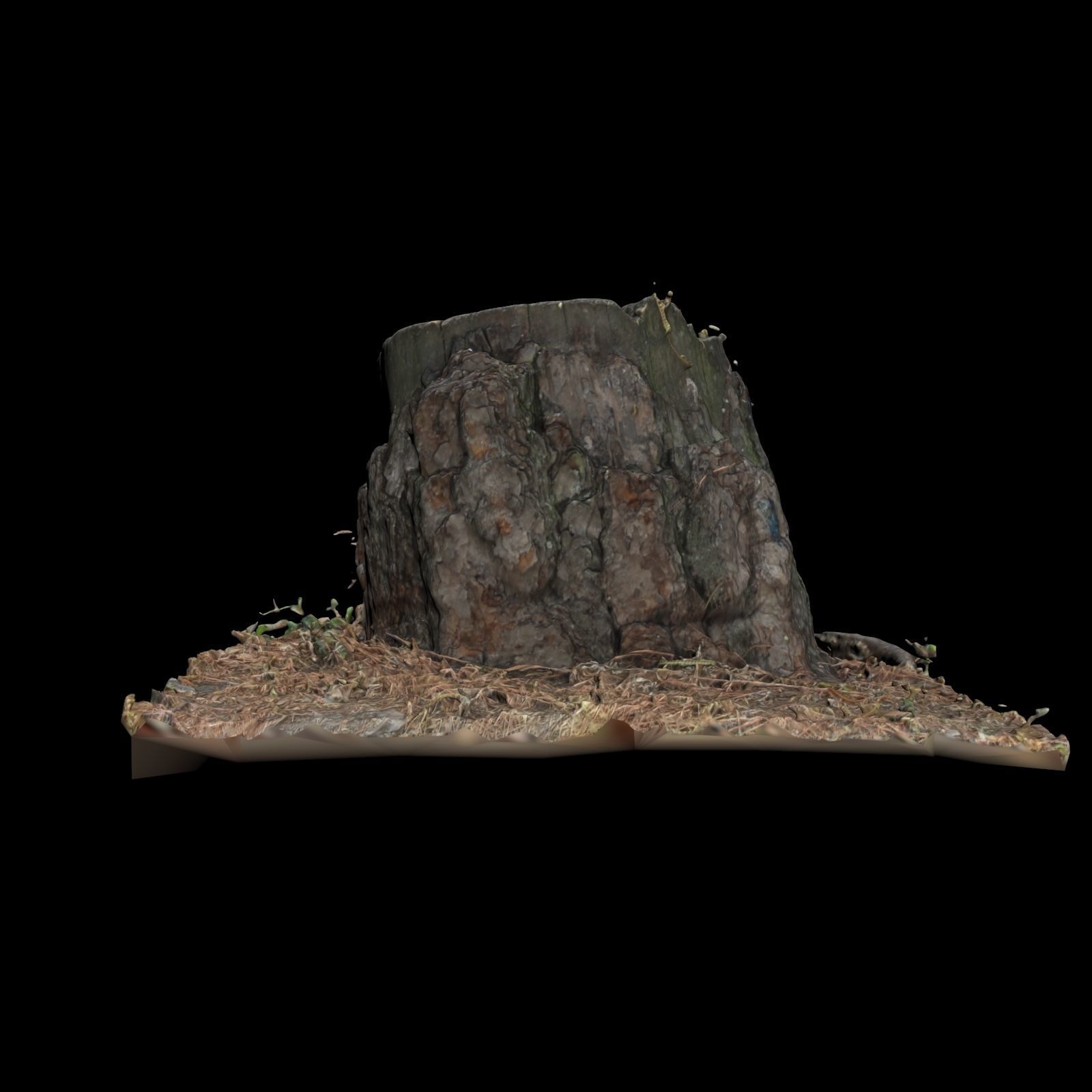 Trunk tree stump 3D model_4