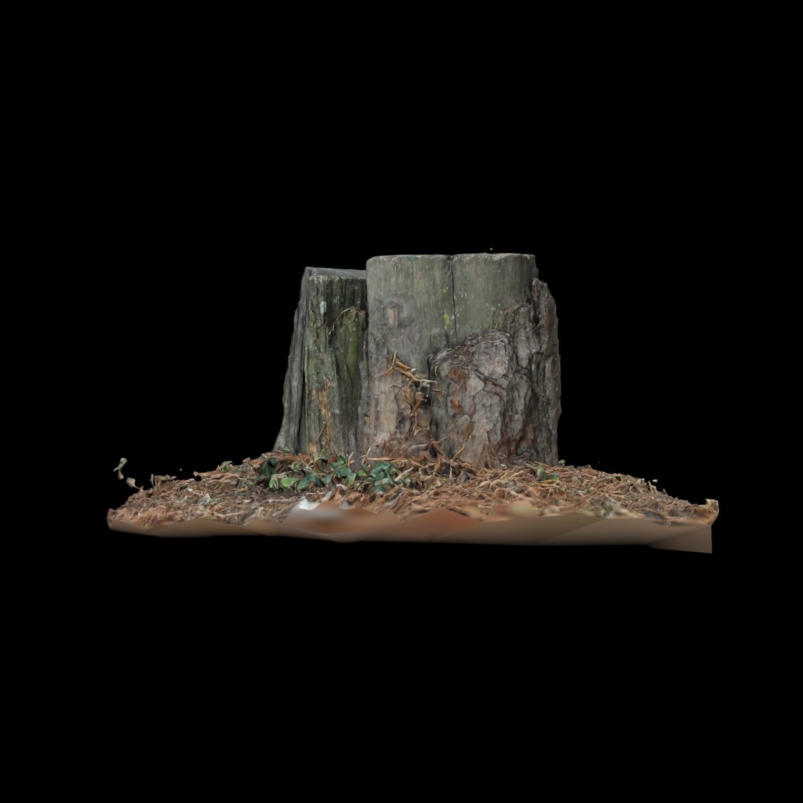 Trunk tree stump 3D model_3