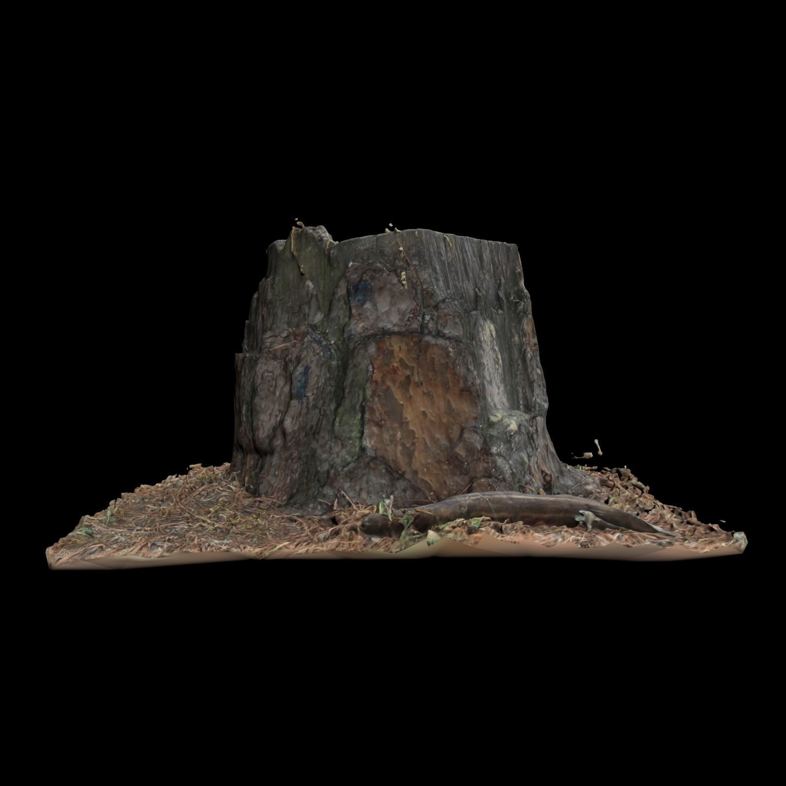 Trunk tree stump 3D model_5