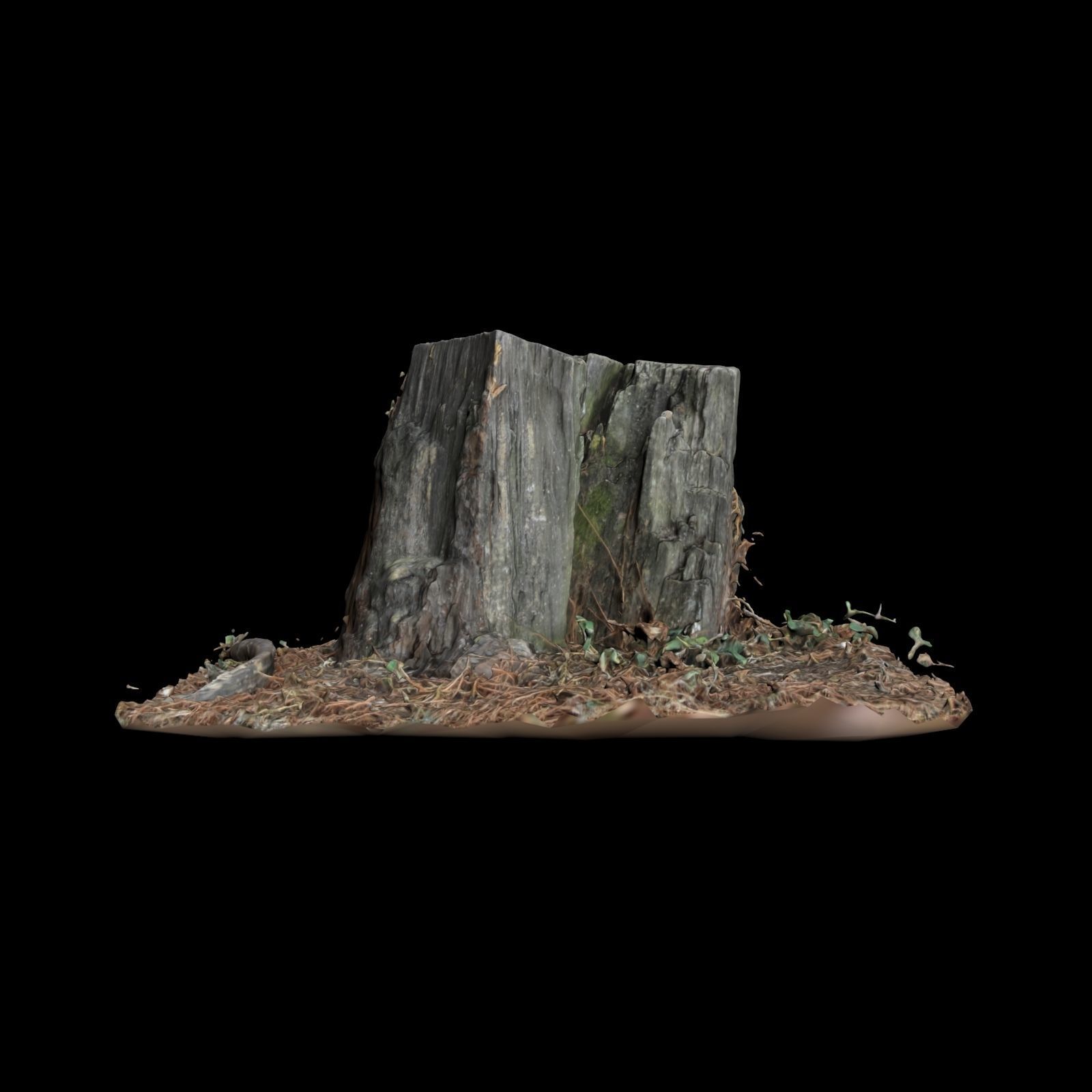 Trunk tree stump 3D model_2