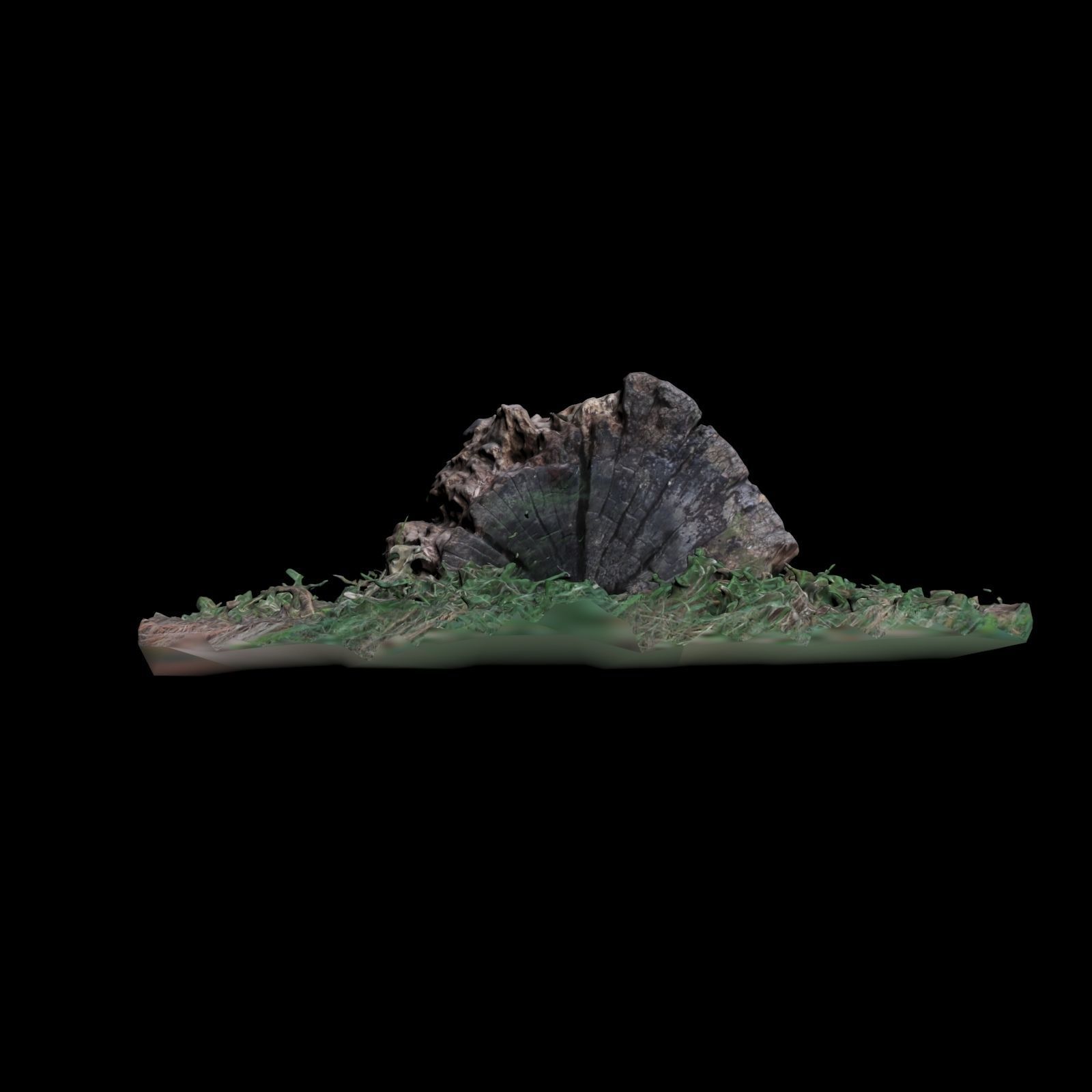 Trunk tree stump 3D model_3