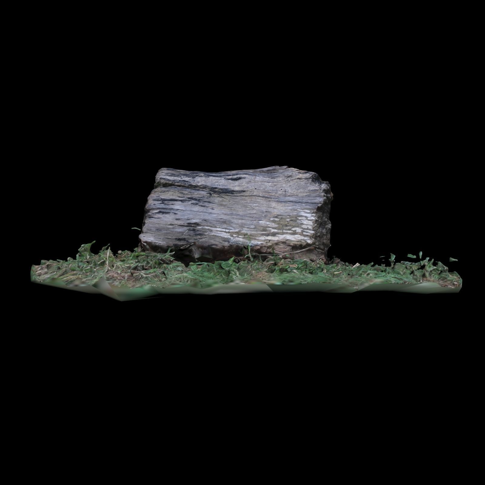 Trunk tree stump 3D model_4