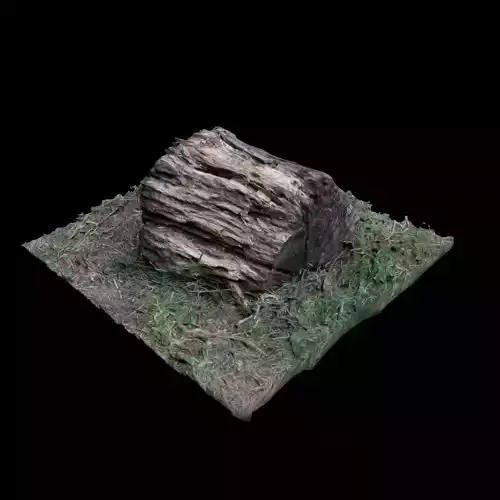 Trunk tree stump 3D model