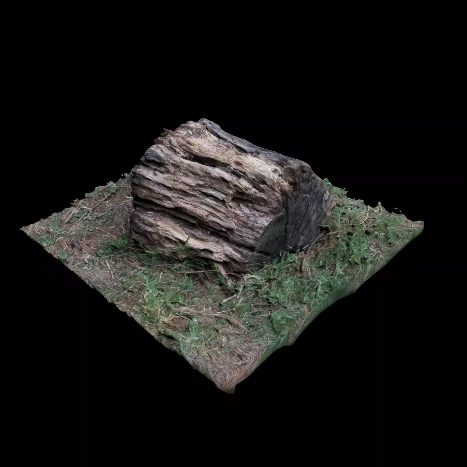 Trunk tree stump 3D model_0