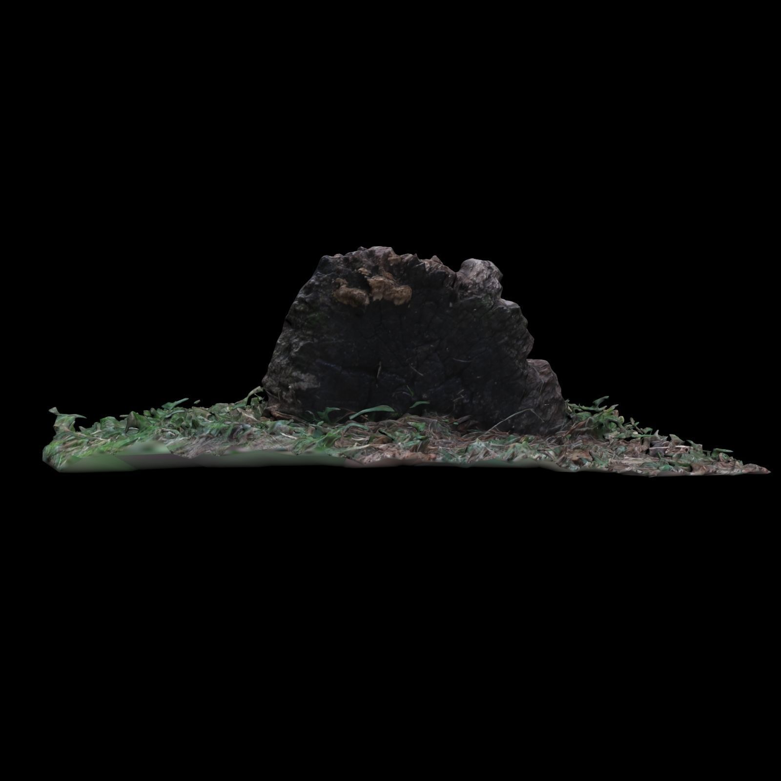 Trunk tree stump 3D model_5