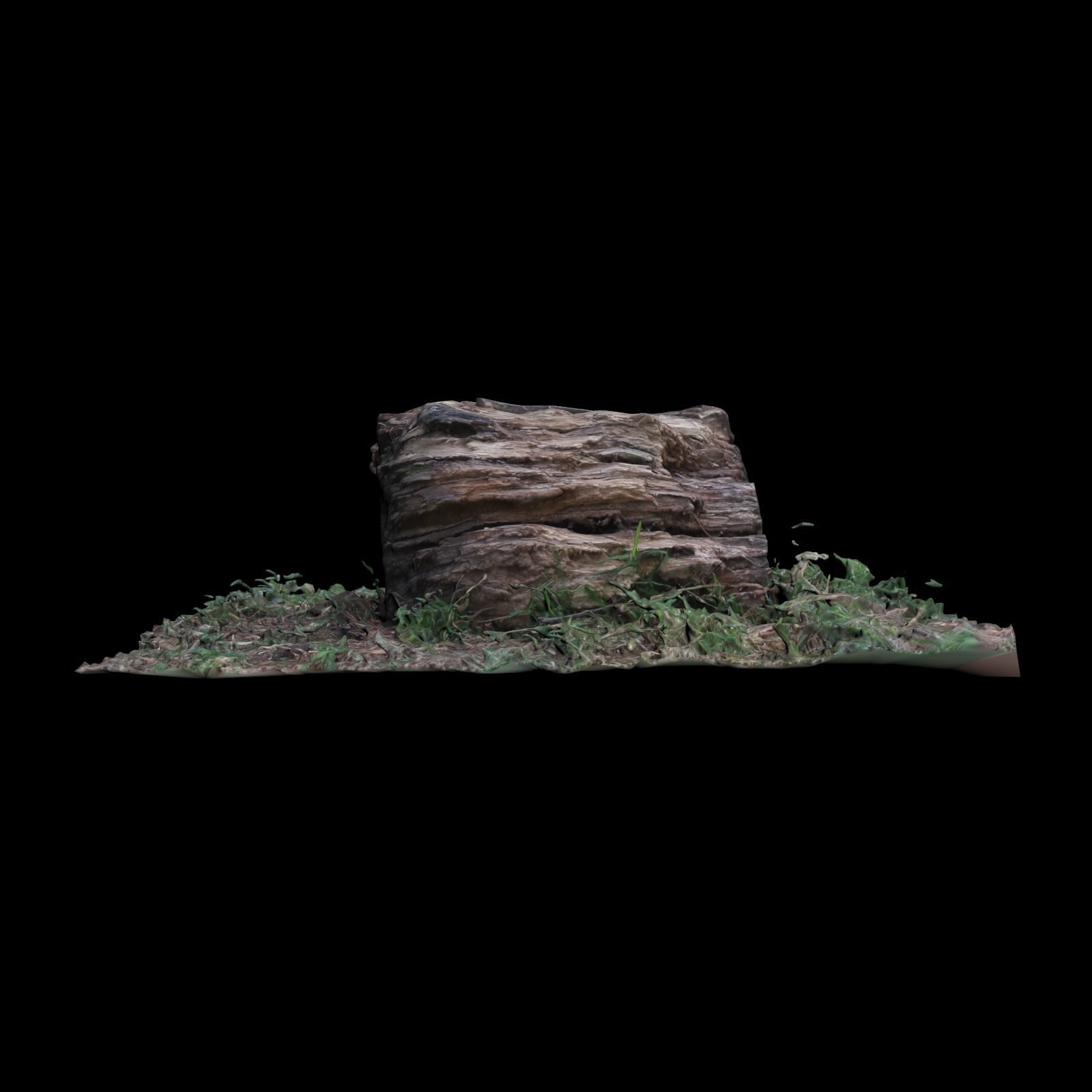 Trunk tree stump 3D model_2