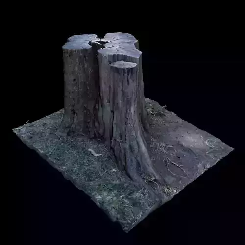 Trunk tree stump 3D model