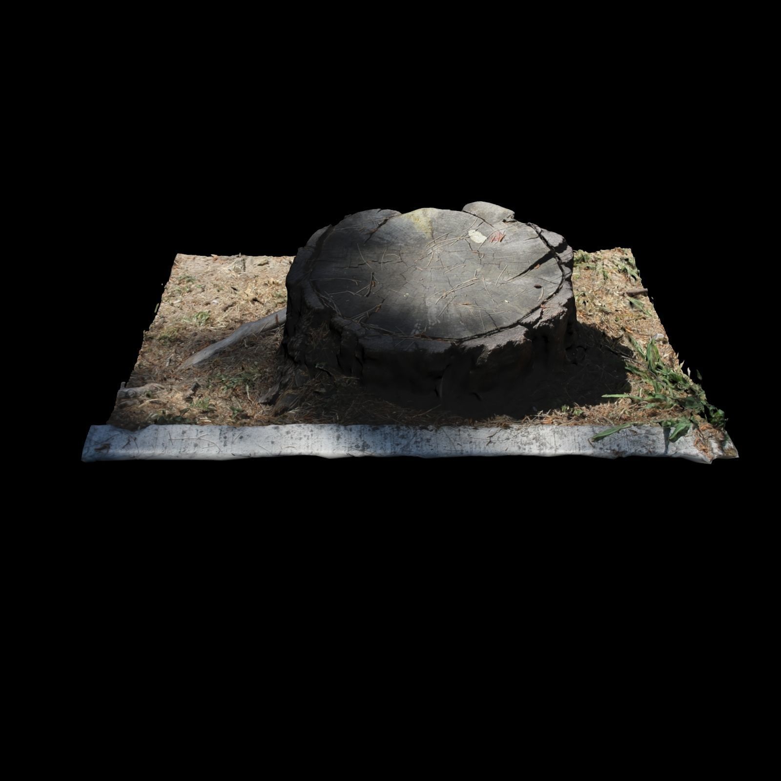 Trunk tree stump 3D model_4