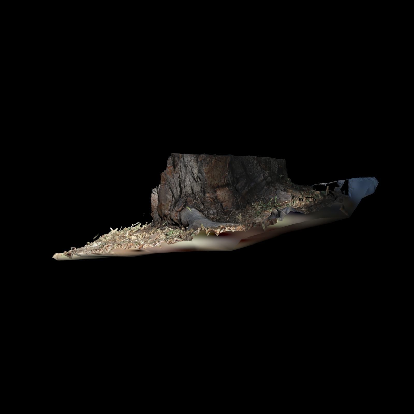 Trunk tree stump 3D model_3