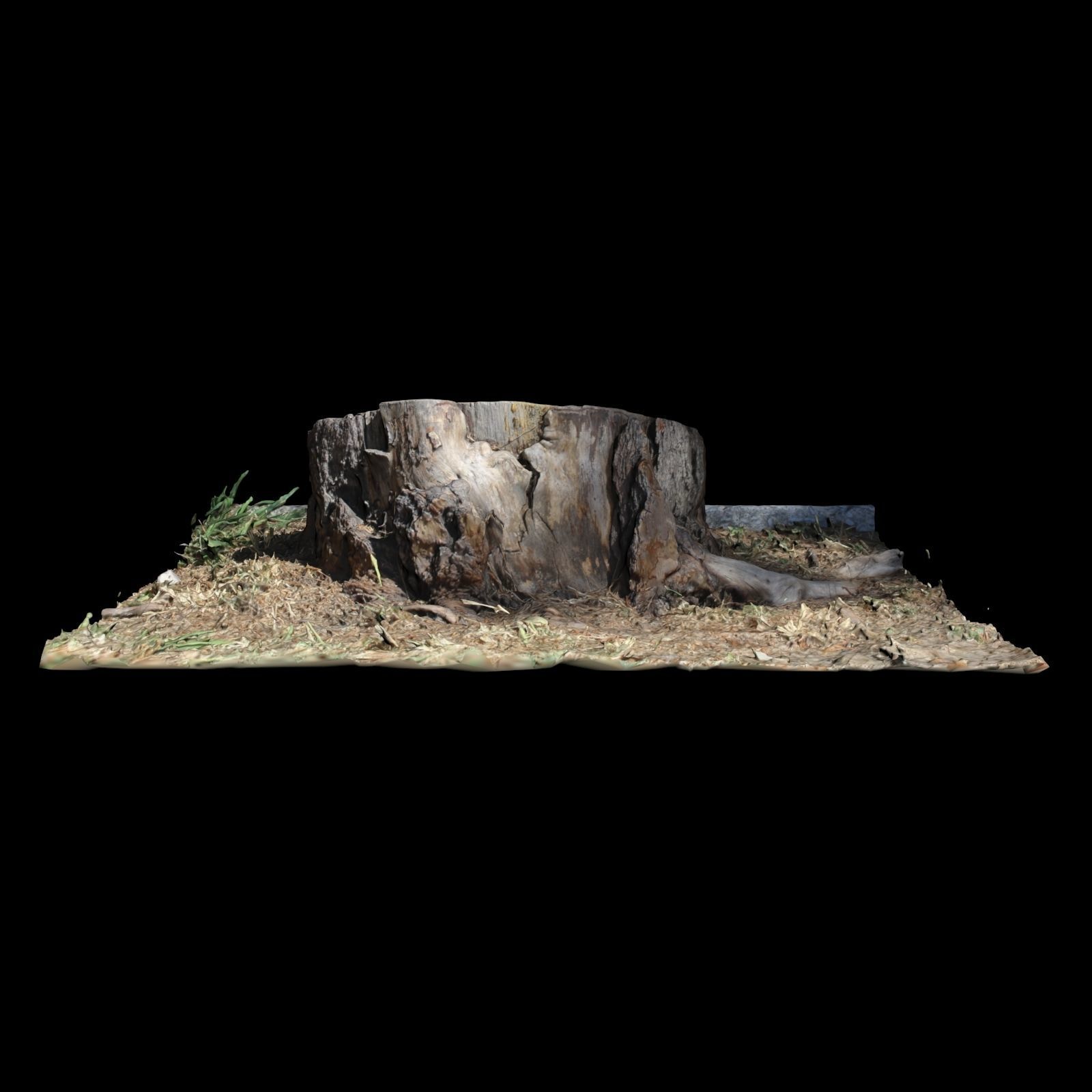 Trunk tree stump 3D model_2