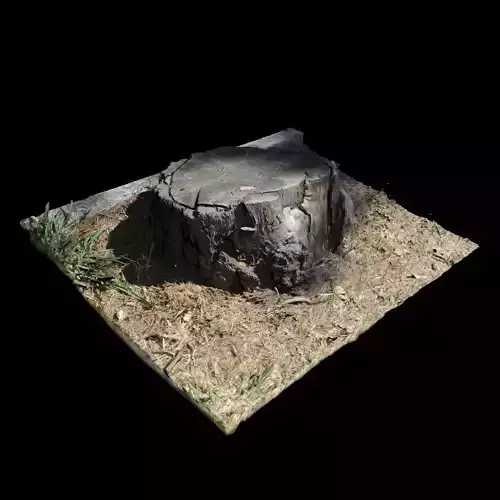 Trunk tree stump 3D model