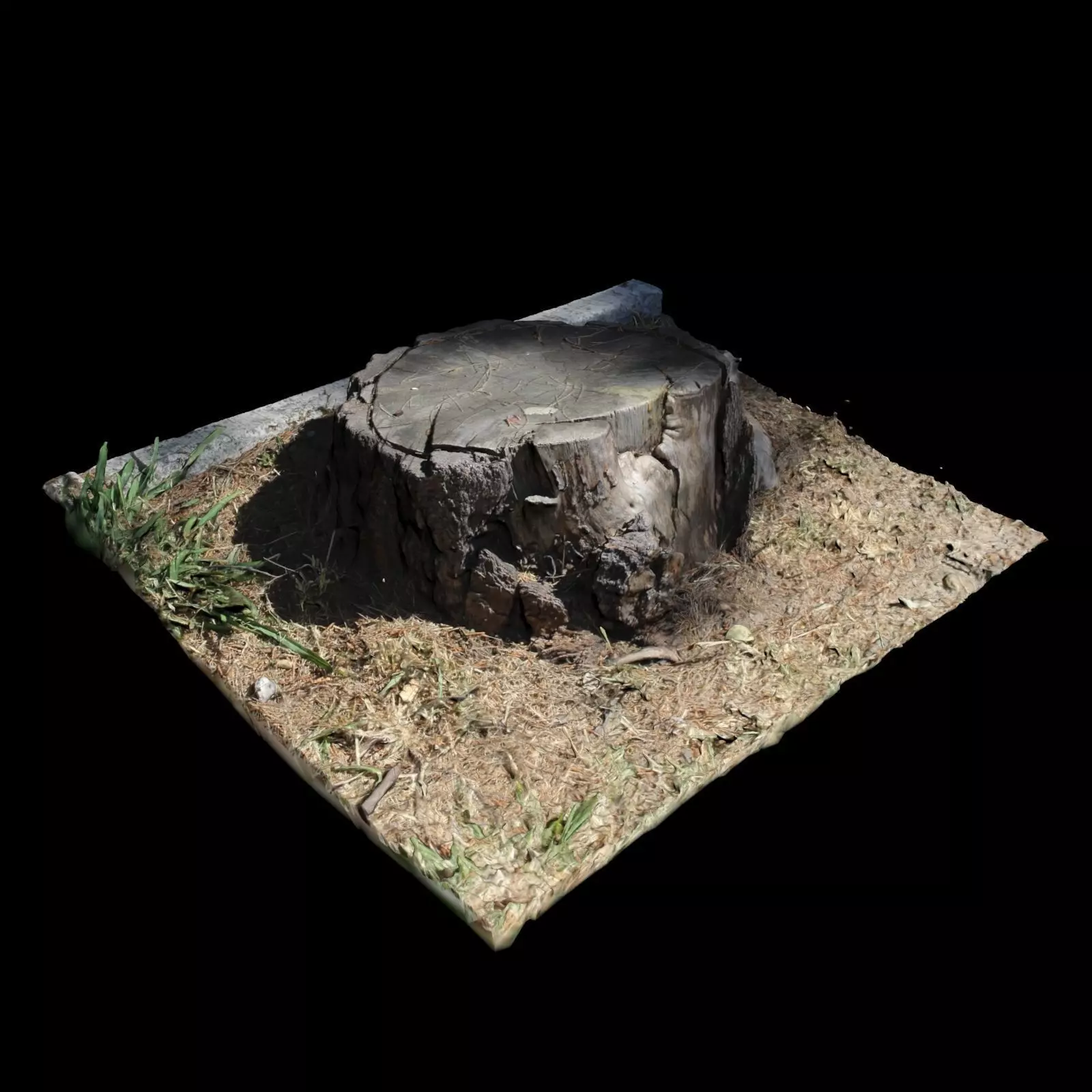 Trunk tree stump 3D model_0