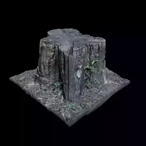 Trunk tree stump 3D model