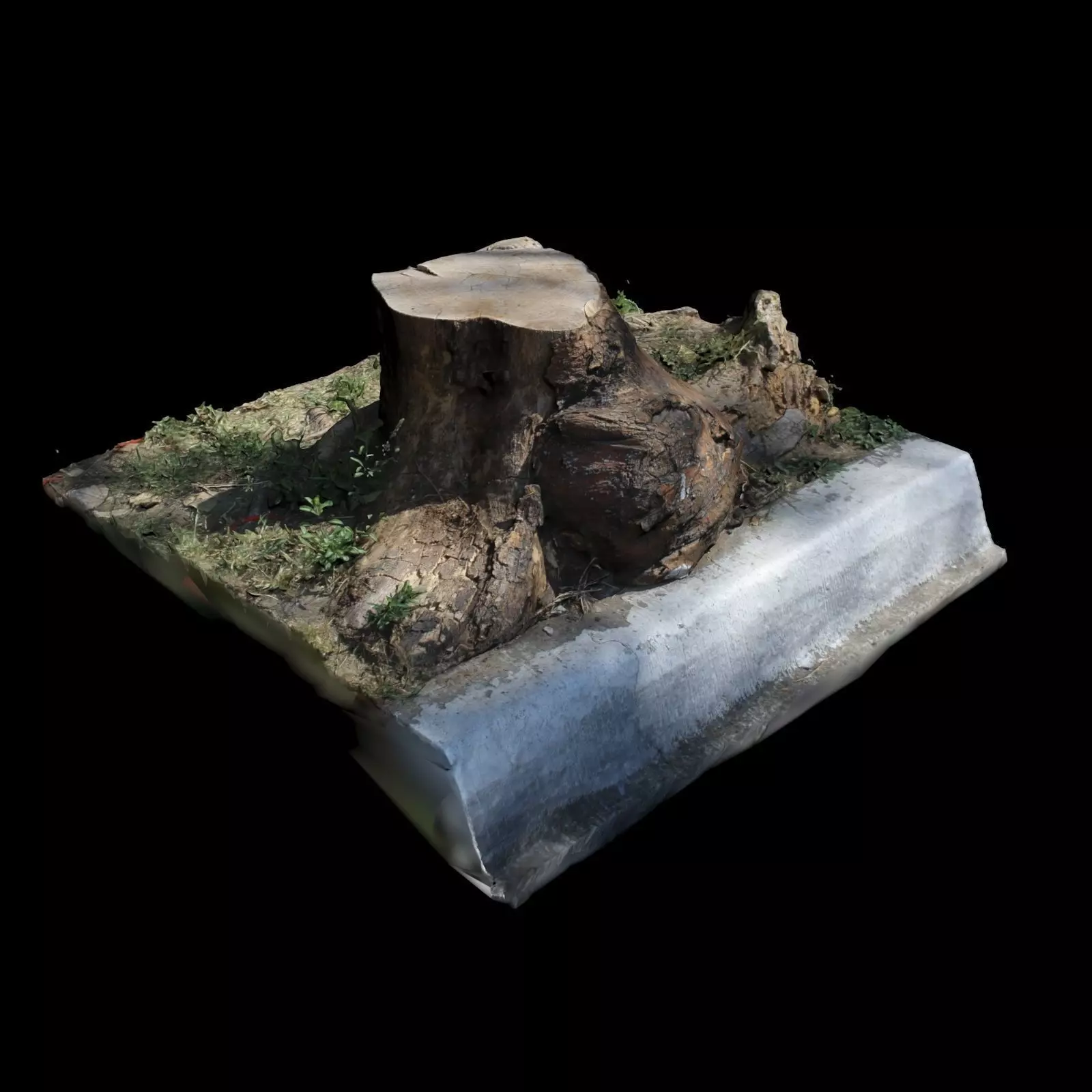 Trunk tree stump 3D model_0
