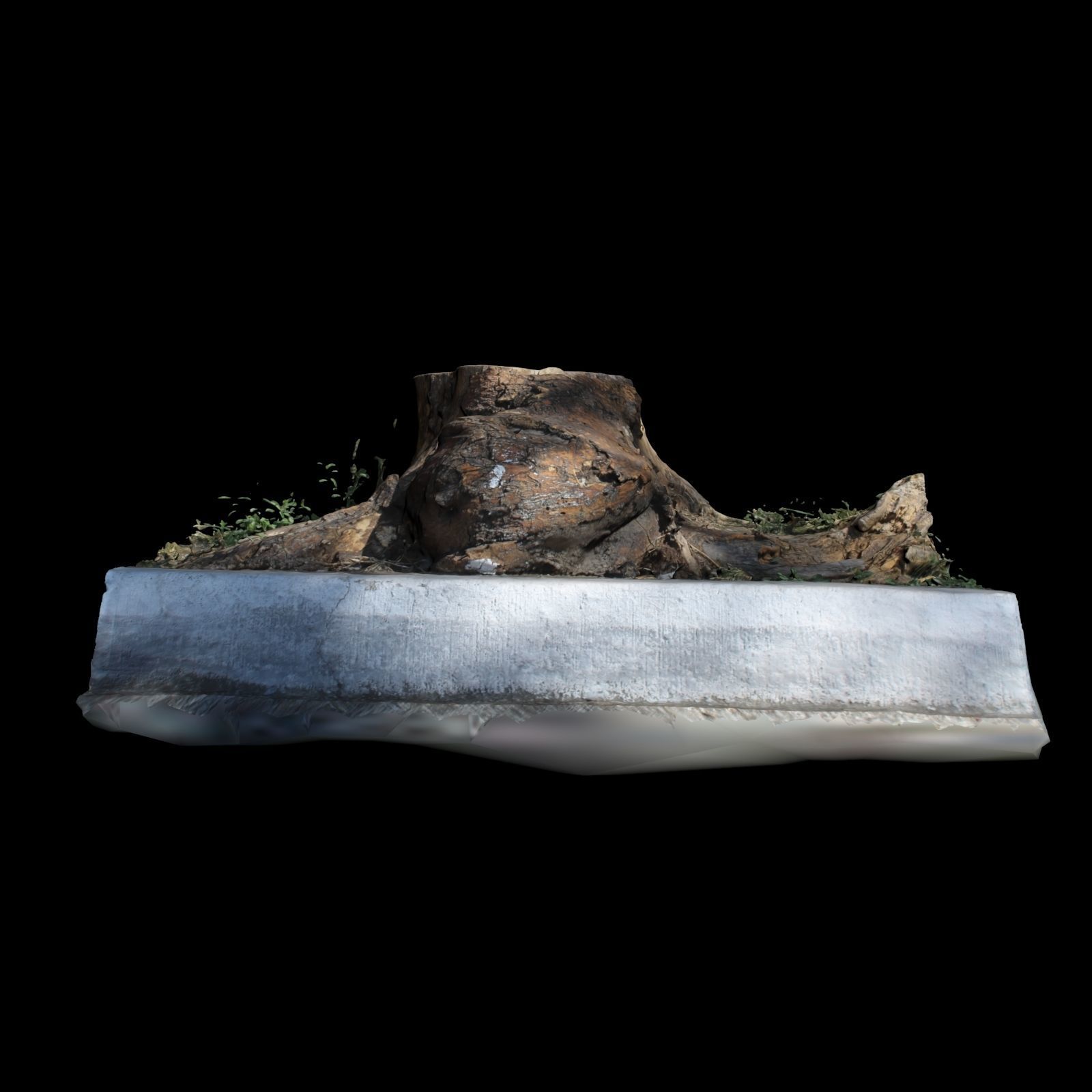 Trunk tree stump 3D model_2