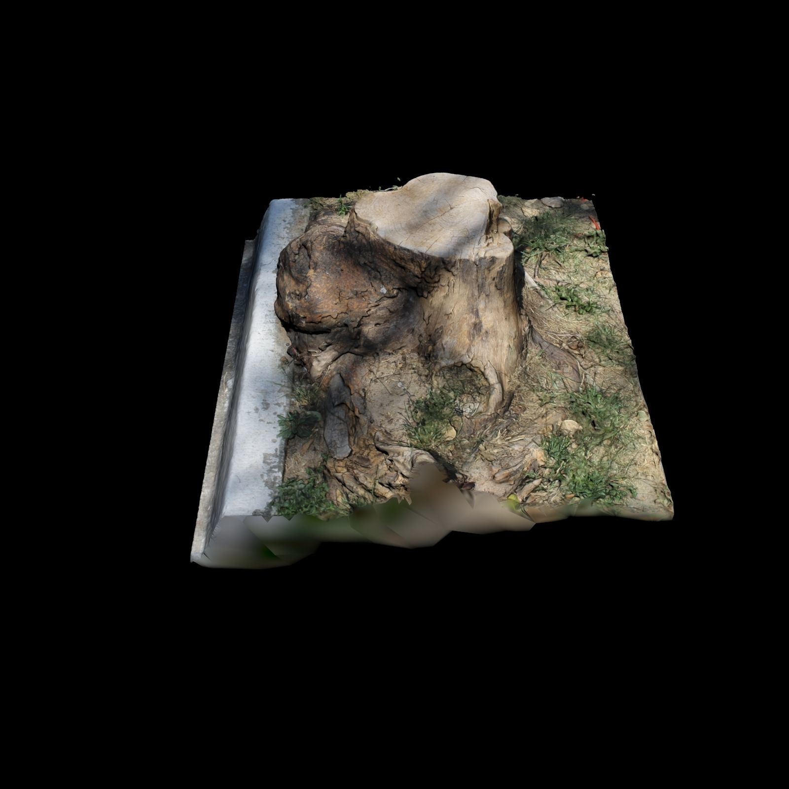 Trunk tree stump 3D model_3