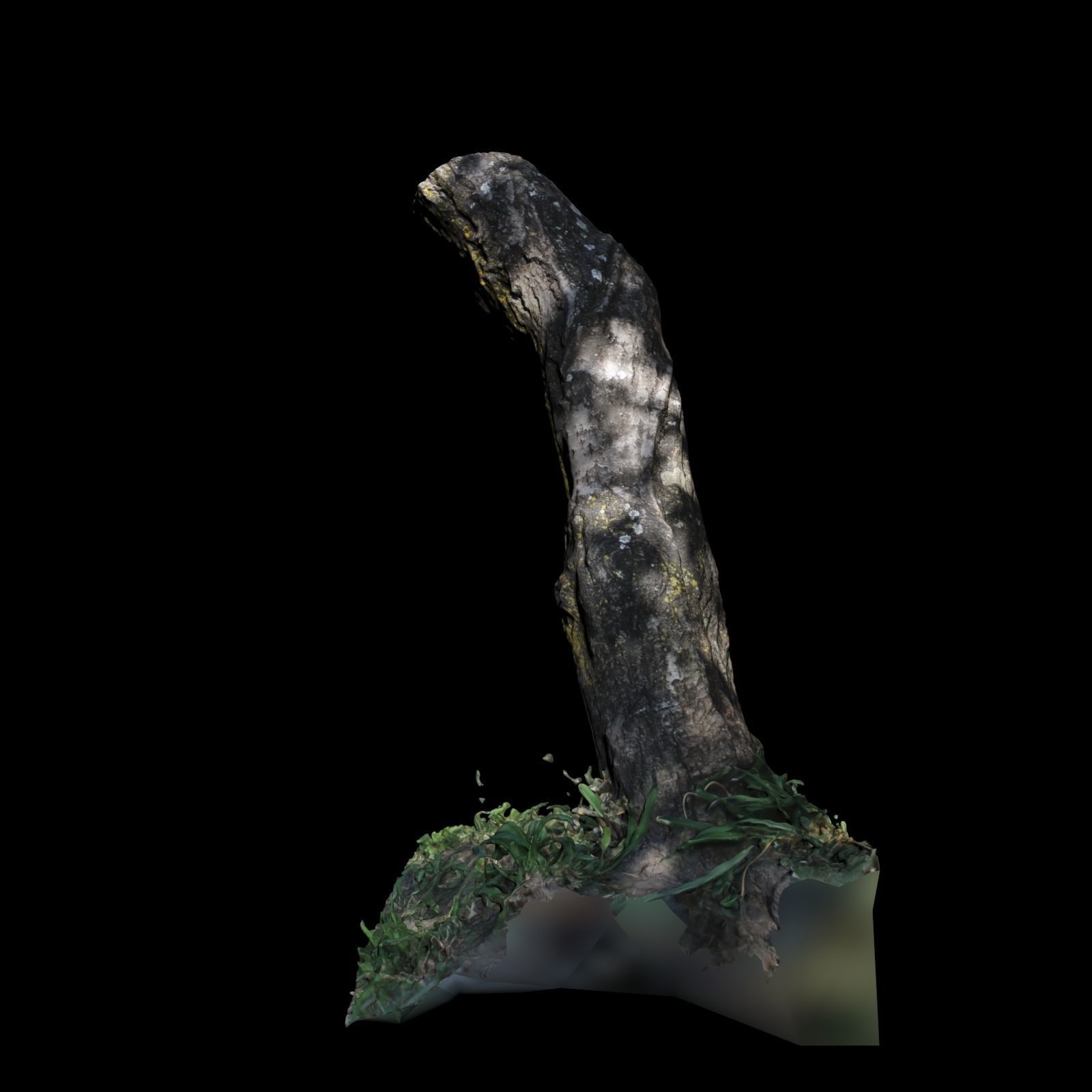 Trunk tree with grass 3D model_3