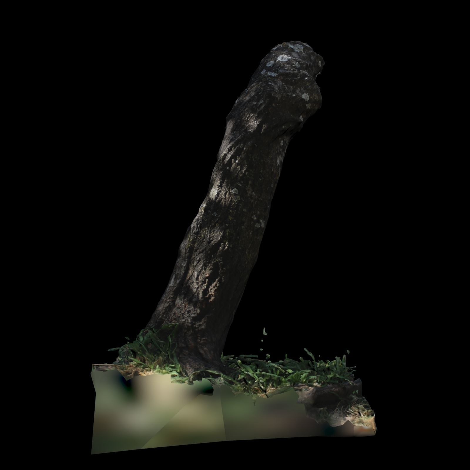 Trunk tree with grass 3D model_4