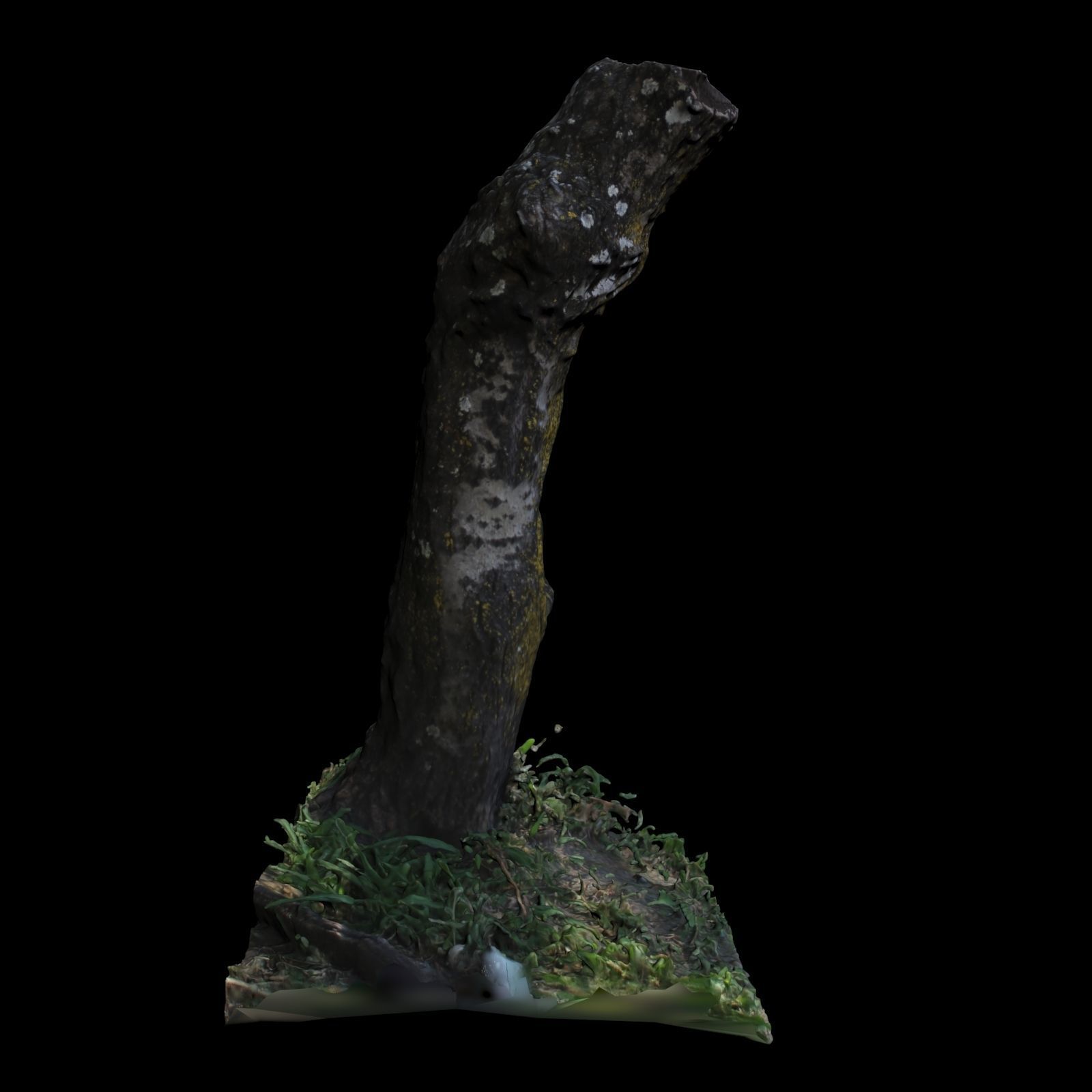 Trunk tree with grass 3D model_5