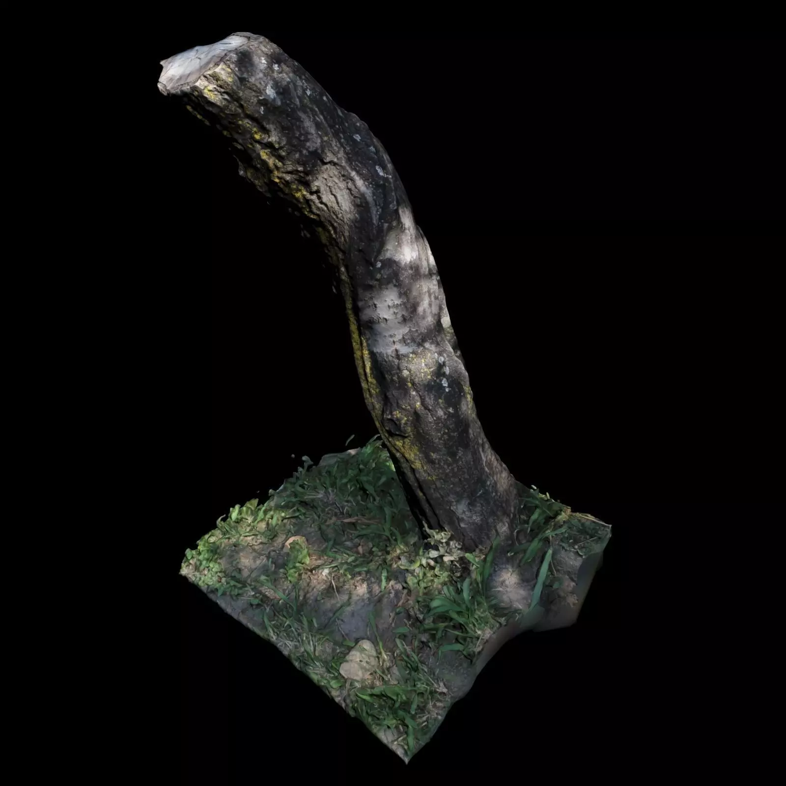 Trunk tree with grass 3D model_0