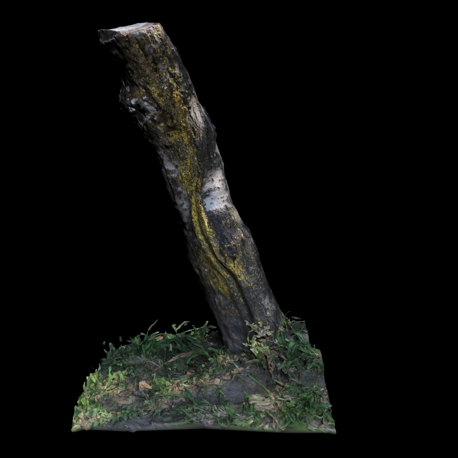 Trunk tree with grass 3D model_2