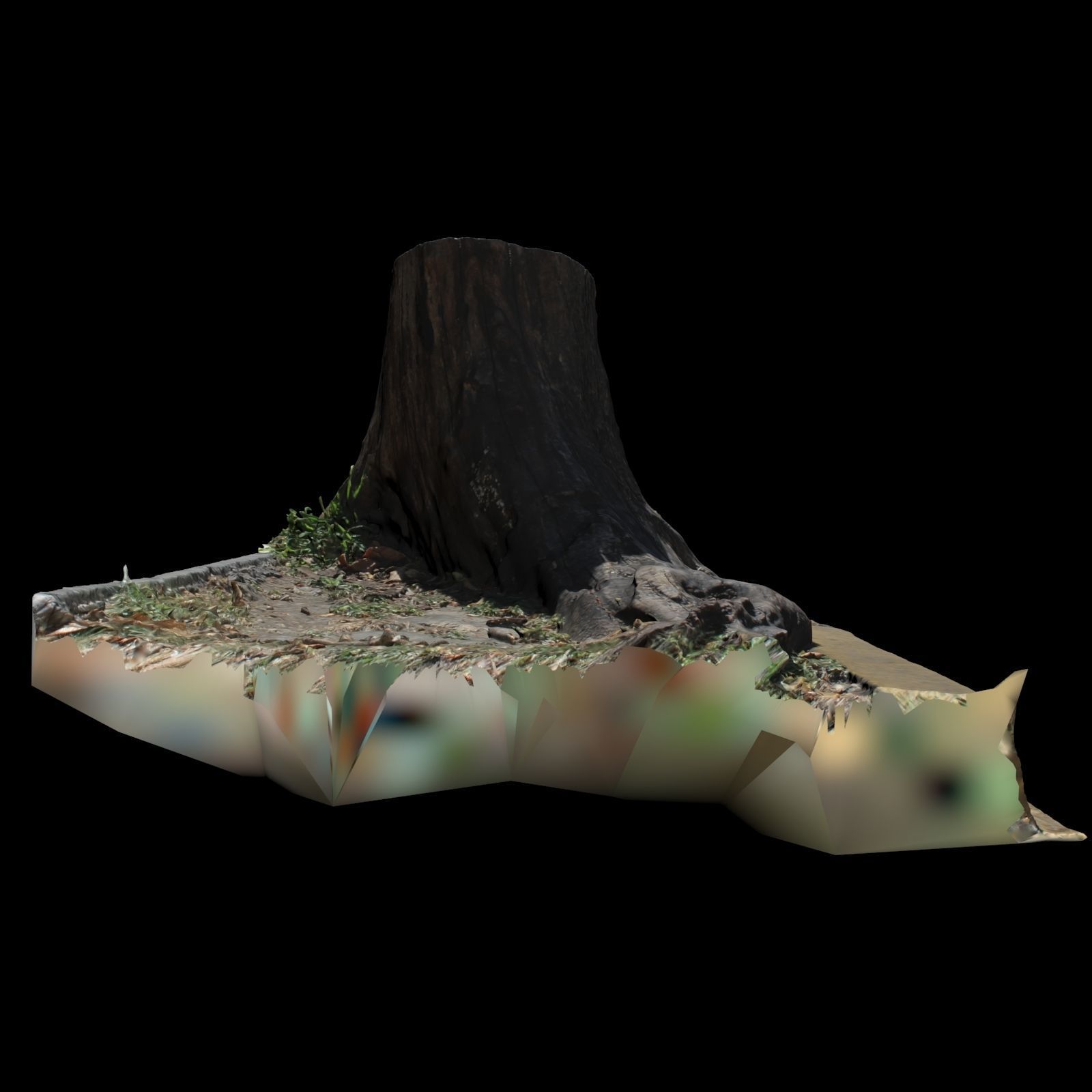 Trunk tree stump 3D model_4