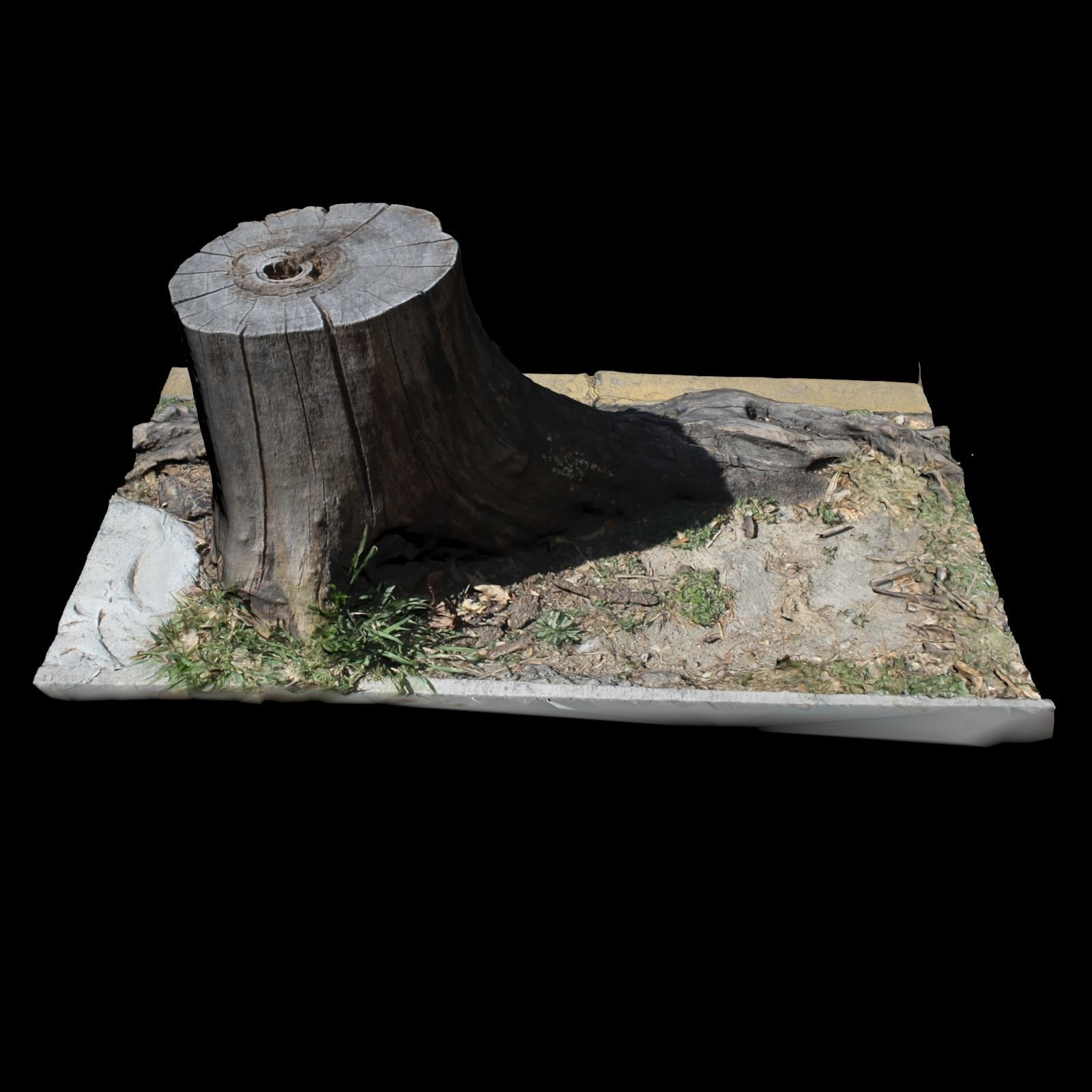 Trunk tree stump 3D model_3