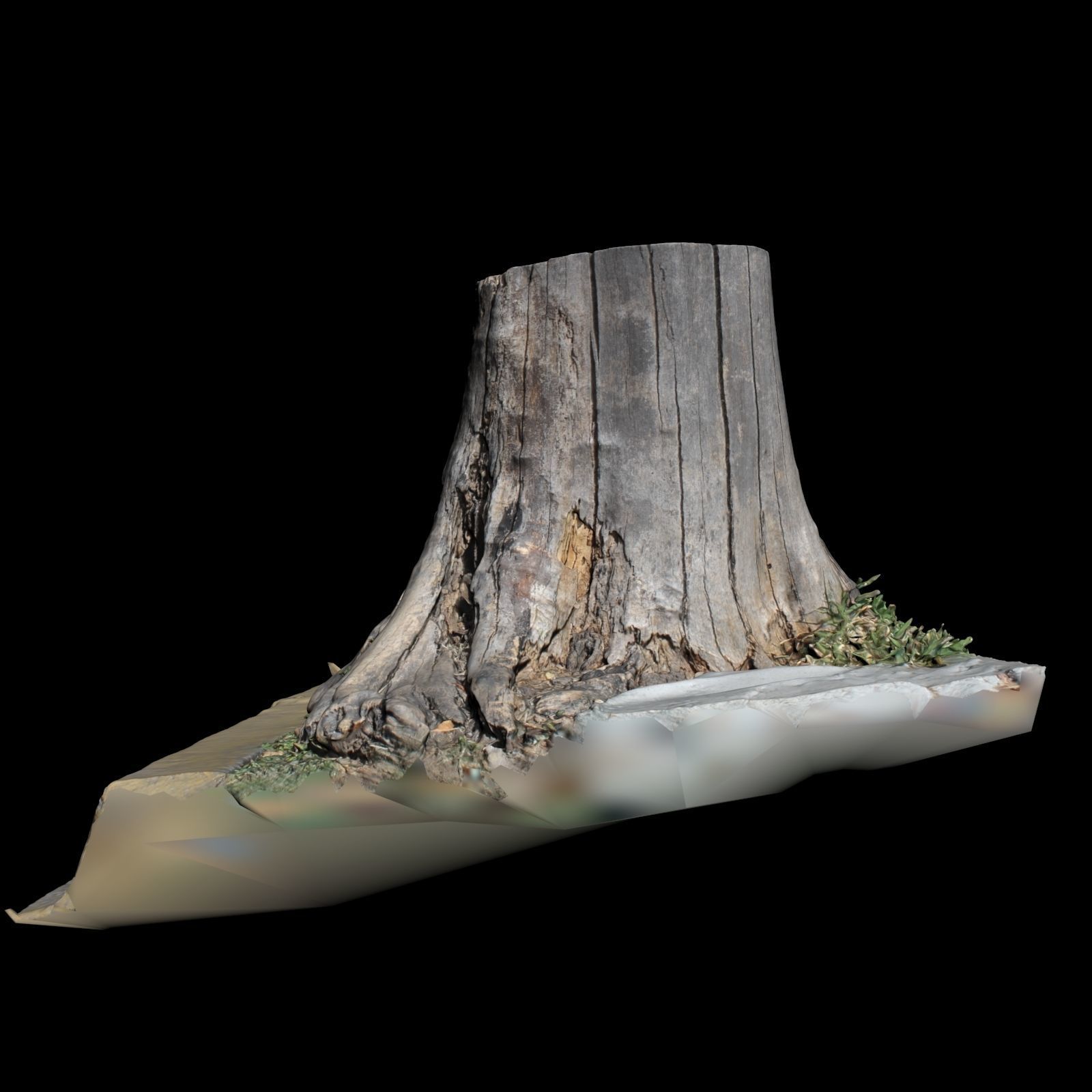 Trunk tree stump 3D model_2