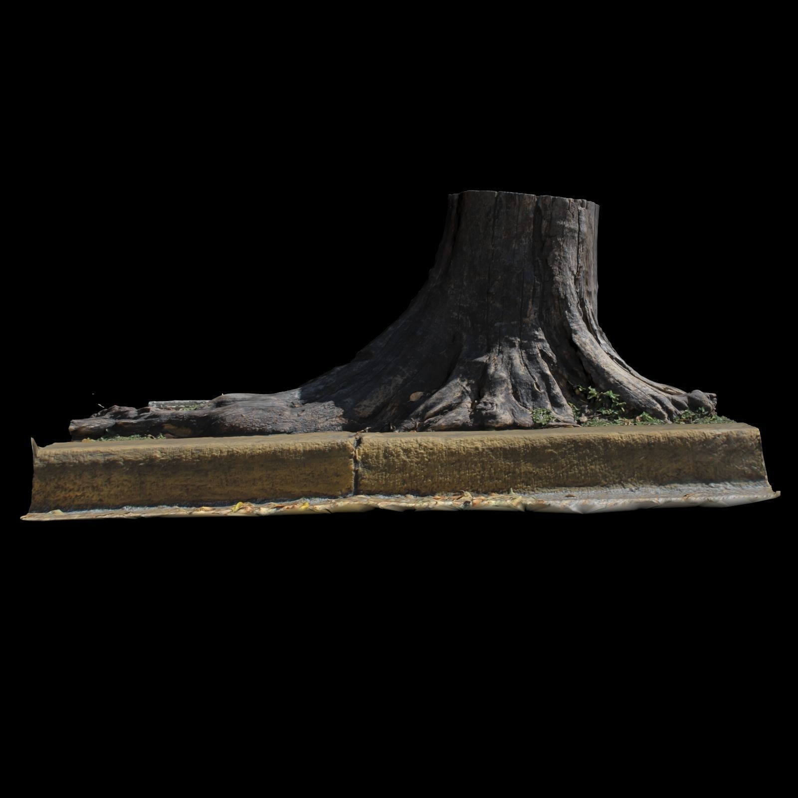 Trunk tree stump 3D model_5