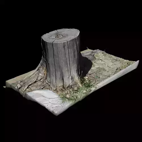 Trunk tree stump 3D model