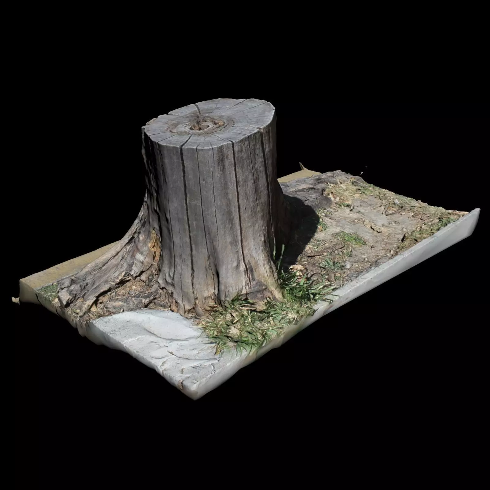 Trunk tree stump 3D model_0