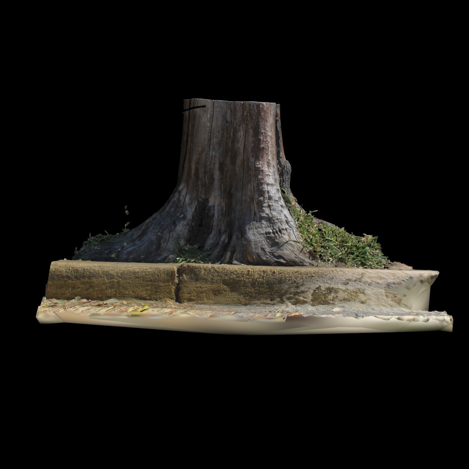 Trunk tree stump 3D model_3
