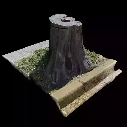 Trunk tree stump 3D model