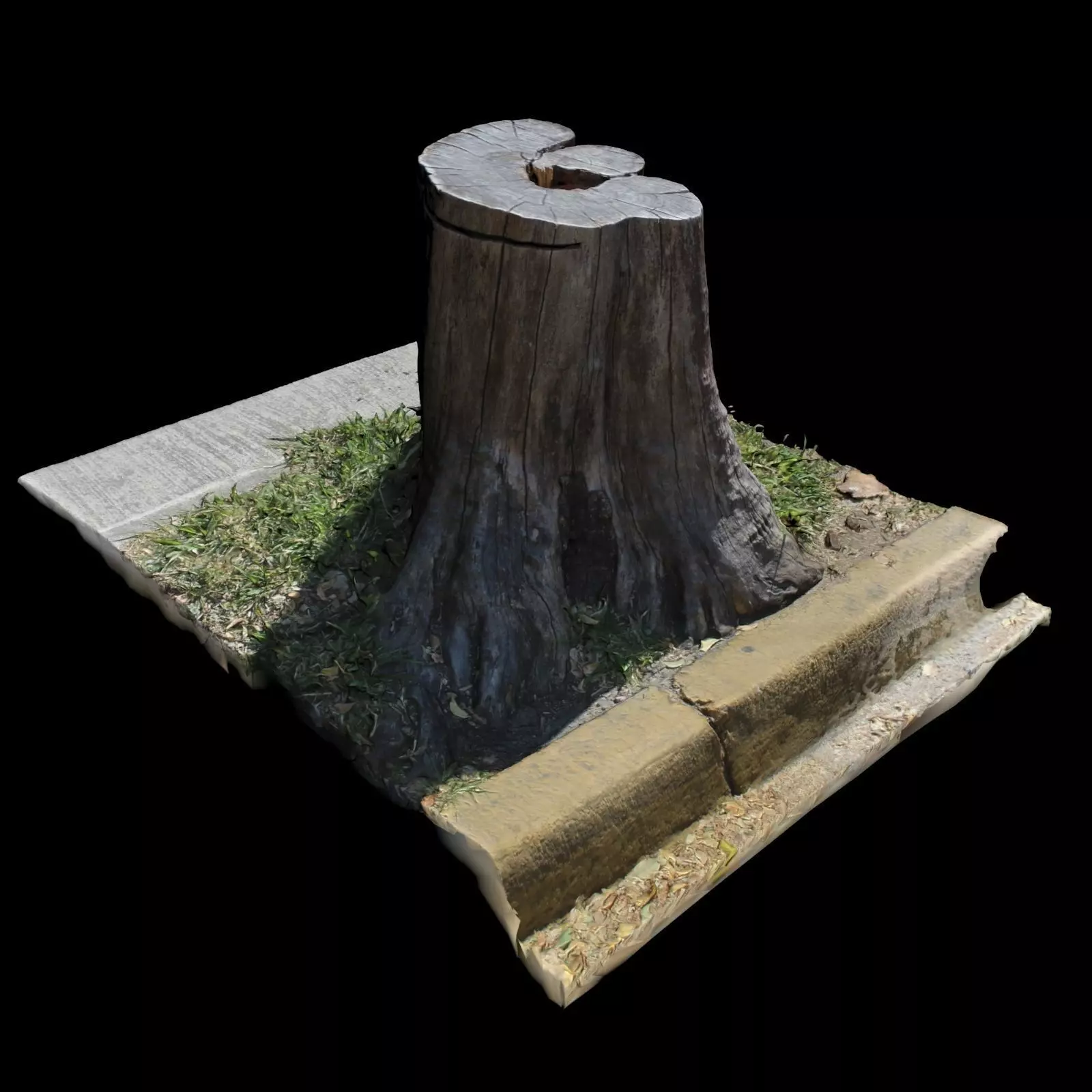 Trunk tree stump 3D model_0