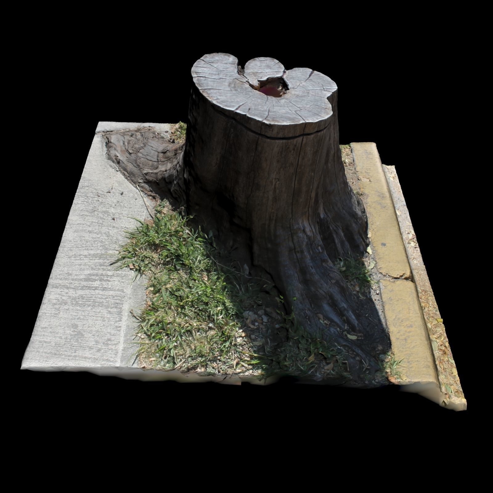 Trunk tree stump 3D model_2