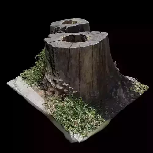 Trunk tree stump with two holes in it 3D model