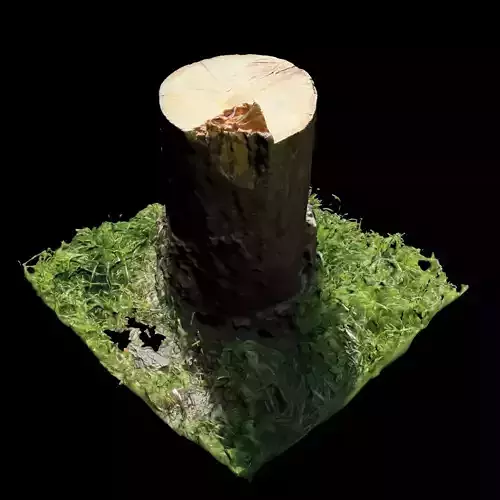 Trunk tree stump with grass on top 3D model
