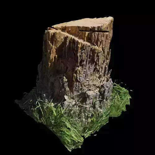 Trunk tree stump with grass 3D model