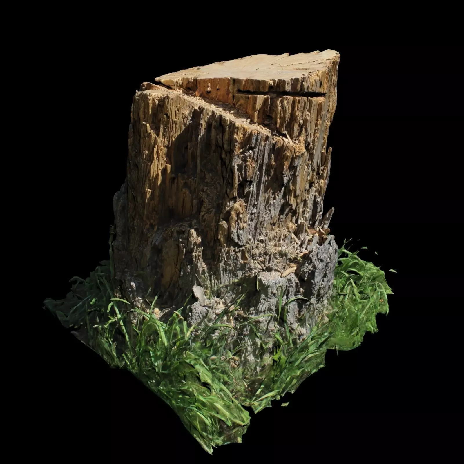 Trunk tree stump with grass 3D model_0